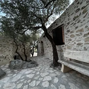 Bed & Breakfast Roba Degli Ulivi